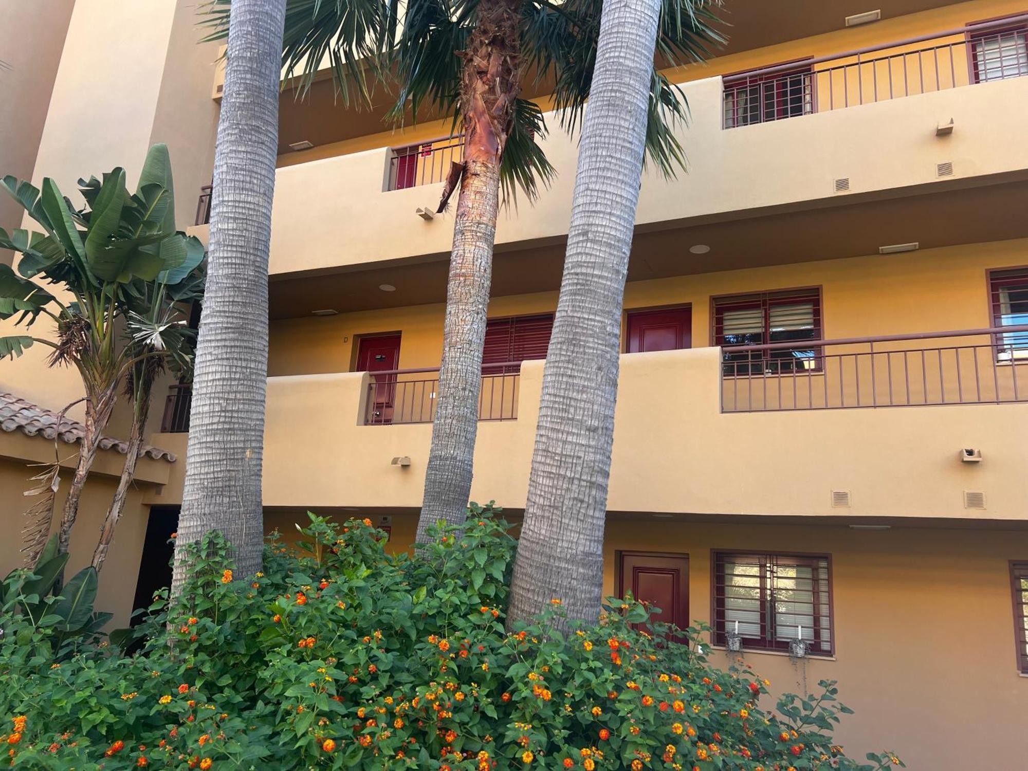 La Cala 2Bed Apt With Sea View And Pool ลากาลาเดมิฮาส ภายนอก รูปภาพ